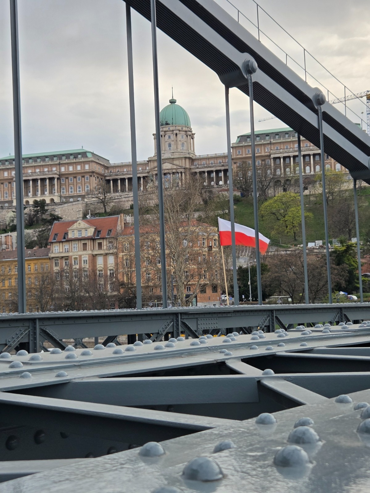 71368470-54f3-457c-9e2e-816eb1adb427