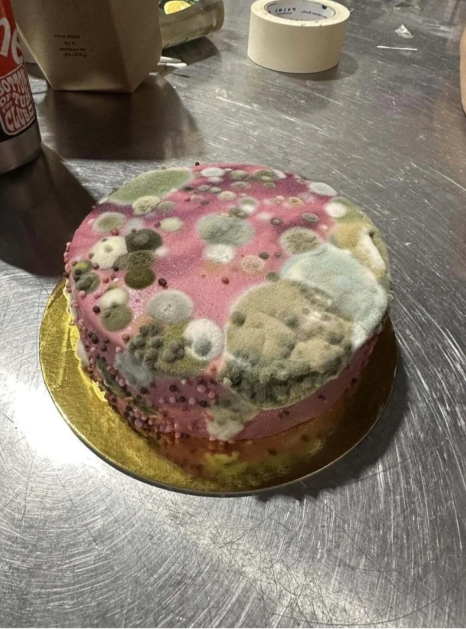 f54adc09-2059-4d33-a50d-cbe75aa0c635