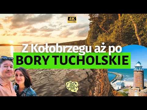 Co zobaczyć w Borach Tucholskich i ciekawostki pojezierza