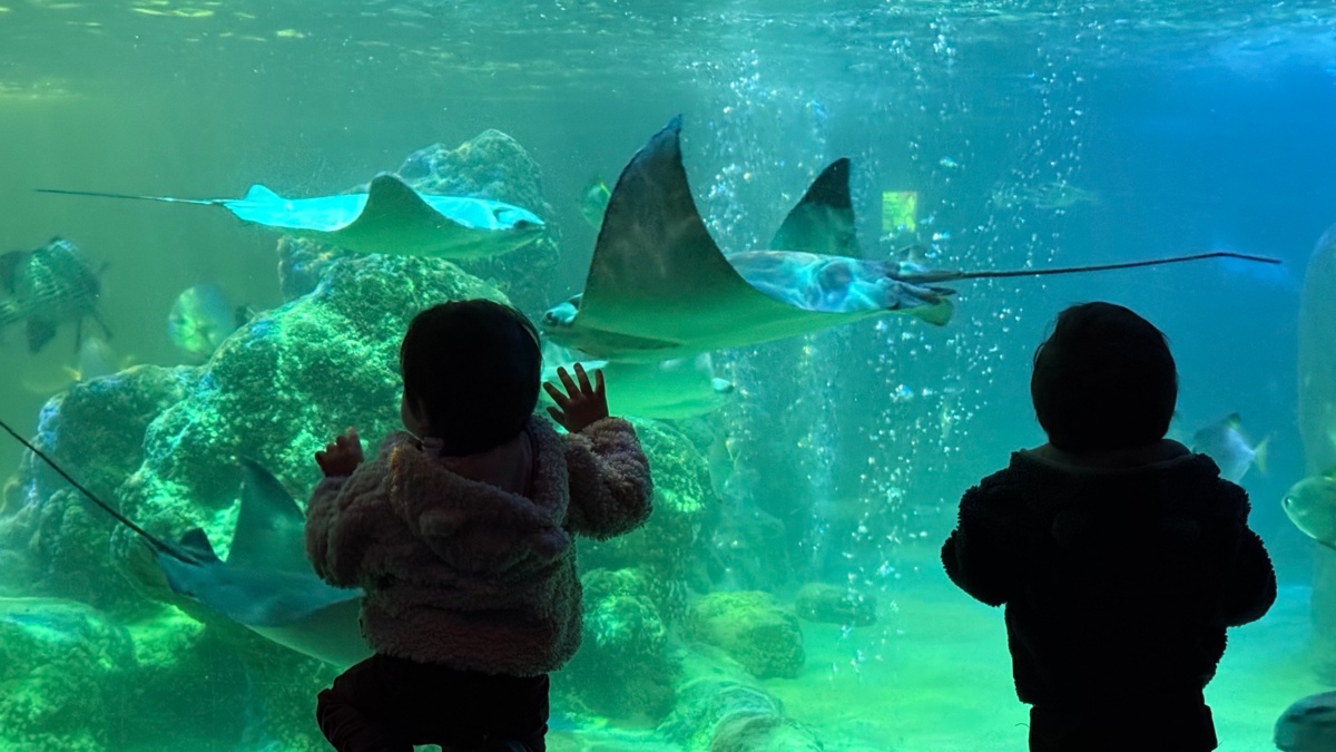 42e212c6-d174-4741-9764-b36ce115af09