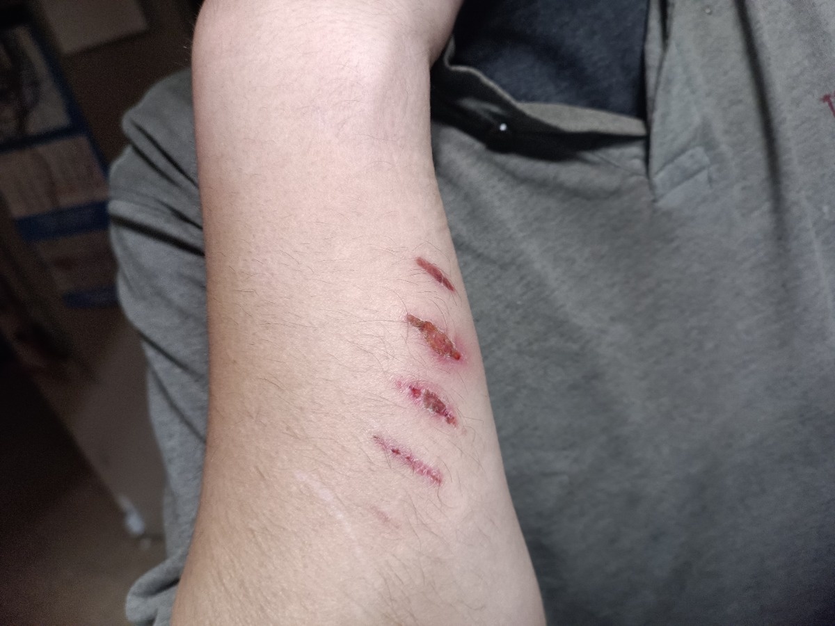 2c966d5e-f5bf-43b2-a2f7-8631ea077455