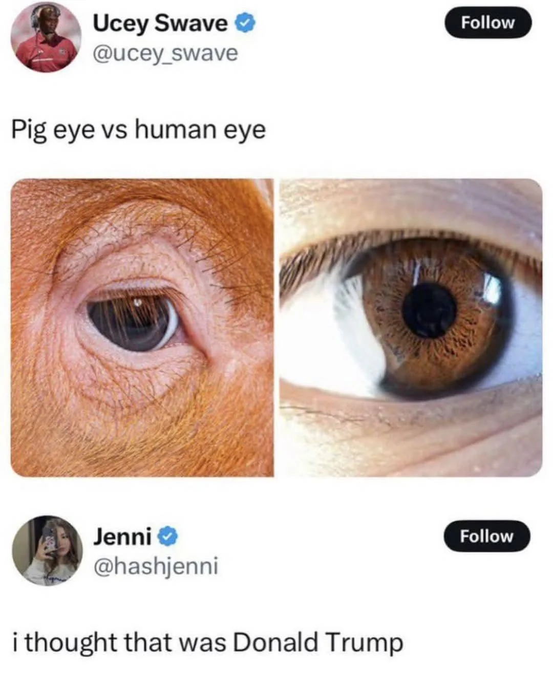 ba3d519f-b7a8-4e95-be4a-e8bf1930d9c0