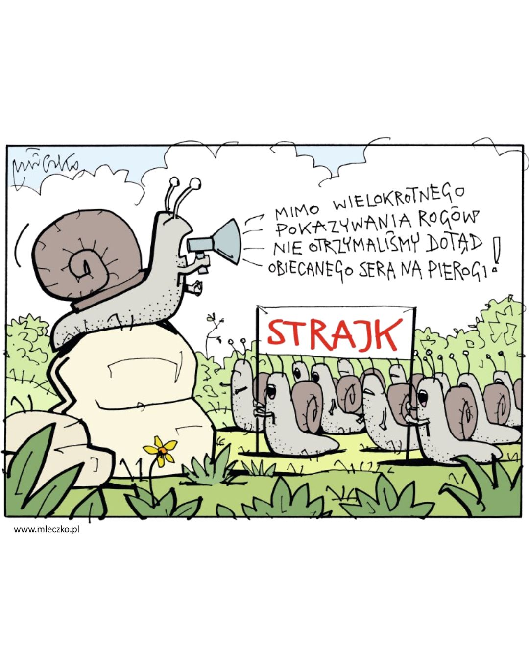 e1762022-8076-44d1-a95e-77ba38b0c6ac