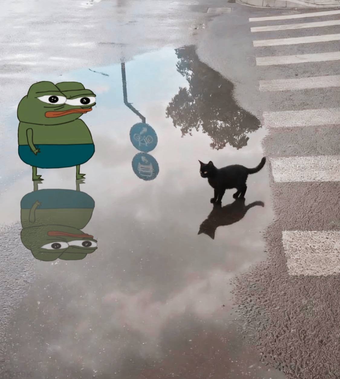 0d832d70-8539-4944-8041-eee1041983db