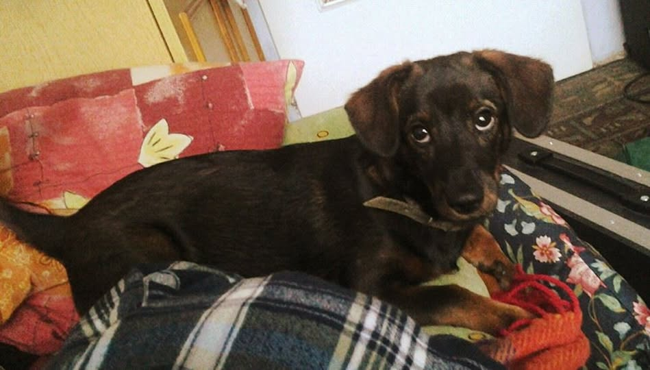 83b7bd88-4809-408a-af31-178d4060c8ee