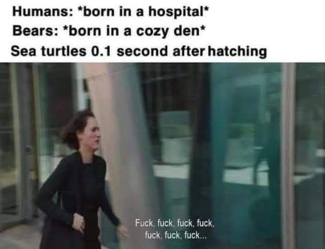 7c3f0f1f-e03b-42a4-8e16-0bbf5f386ea1