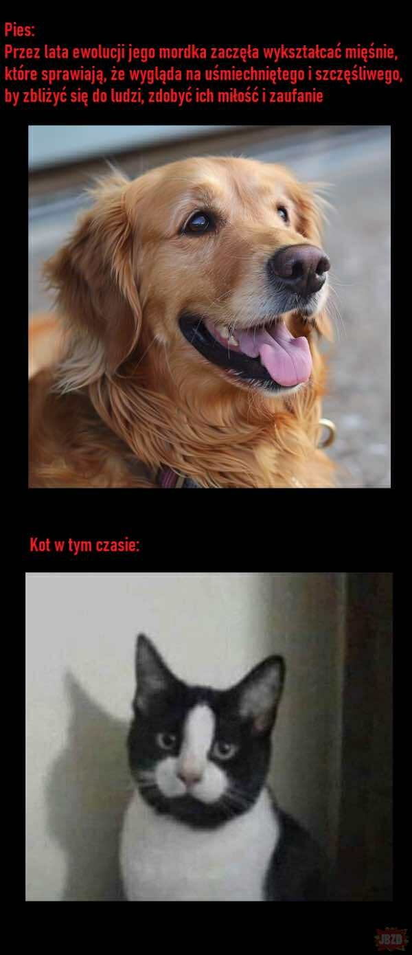 8dee7d0a-f729-43f6-8cab-9ee88d19c0d0