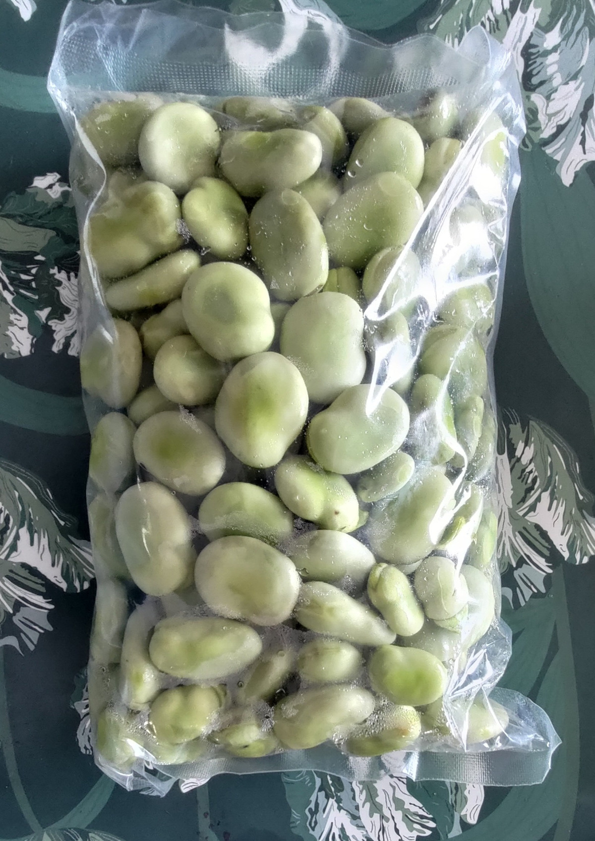 240e8364-0a98-4c69-8a2e-c834b53cee95