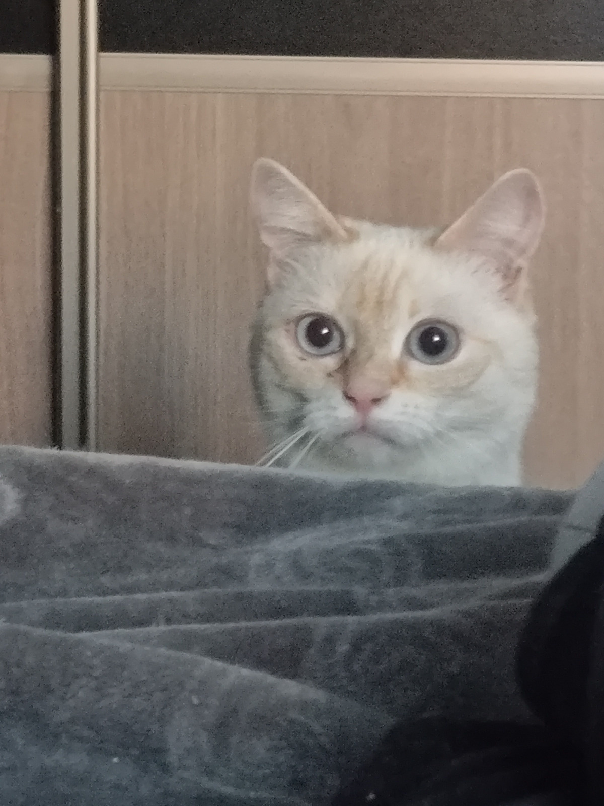 8ede6318-e33c-4450-a29c-f9248d5e6cb6