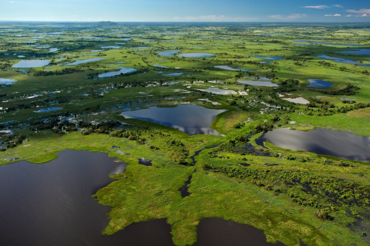 Pantanal: największe bagno świata