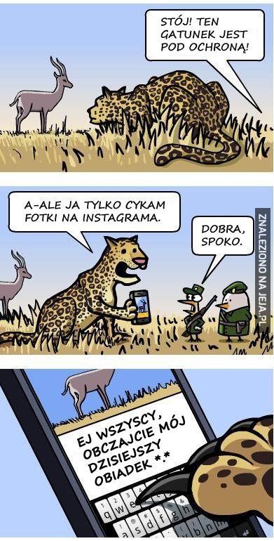 3d08c43c-a99e-4aad-a583-e42292558441