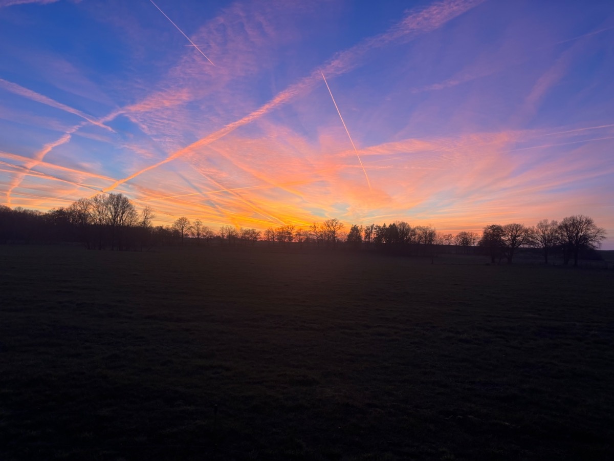 c5885a59-30c3-4676-9121-864d04c18913