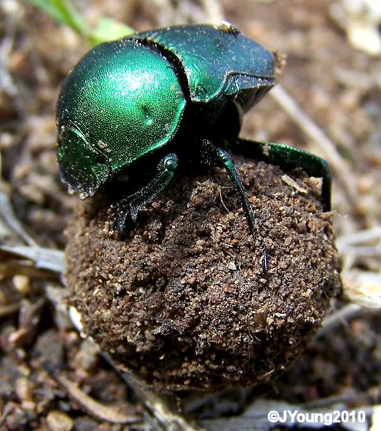 01147810-220f-4fe4-8810-ed6ea61d1459