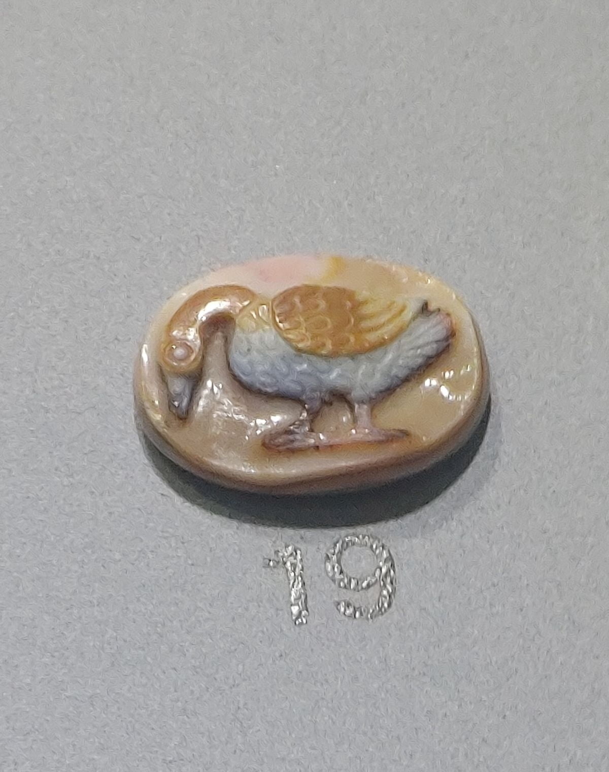 589d046f-6546-4834-9d25-0815cee75941