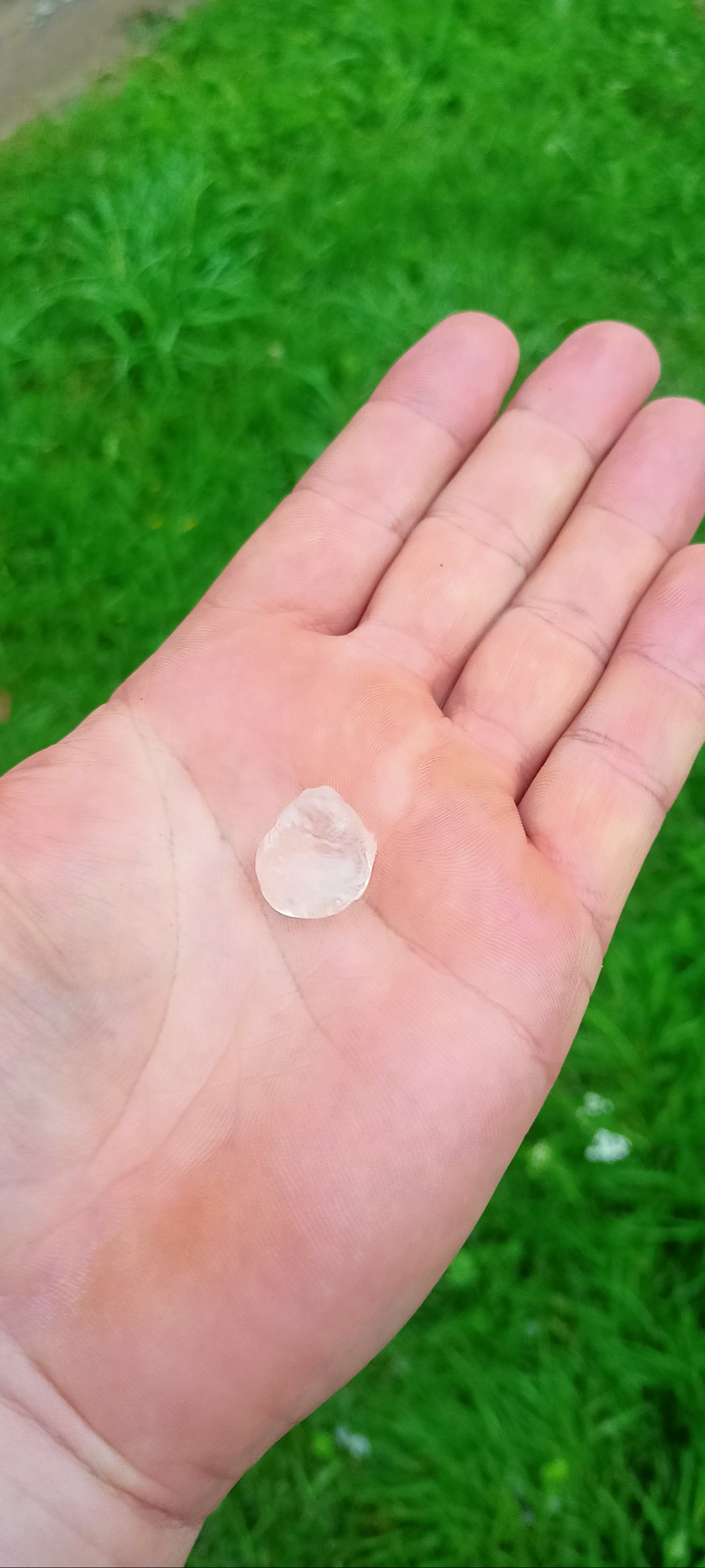 2cd17b43-2806-4dae-8dcf-f994aa80fa3d