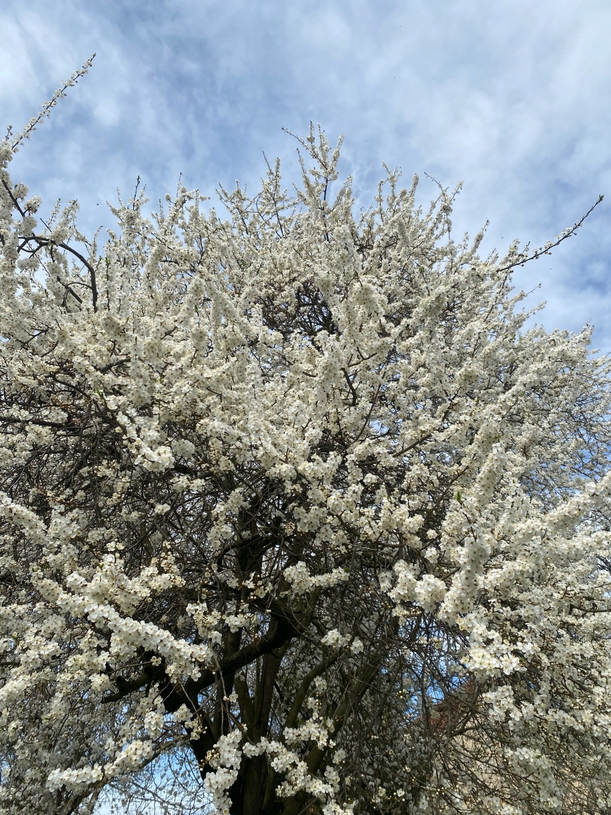 d27b190d-514f-4fa7-9550-95a9f64db495