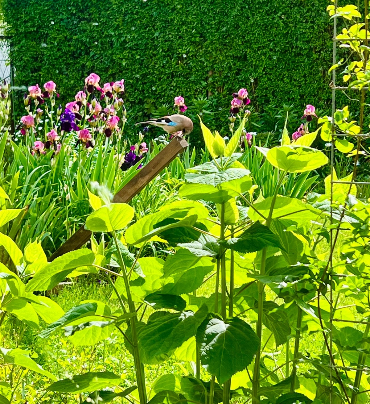 7af85fd1-2100-45d5-9f60-99c62b3832ab