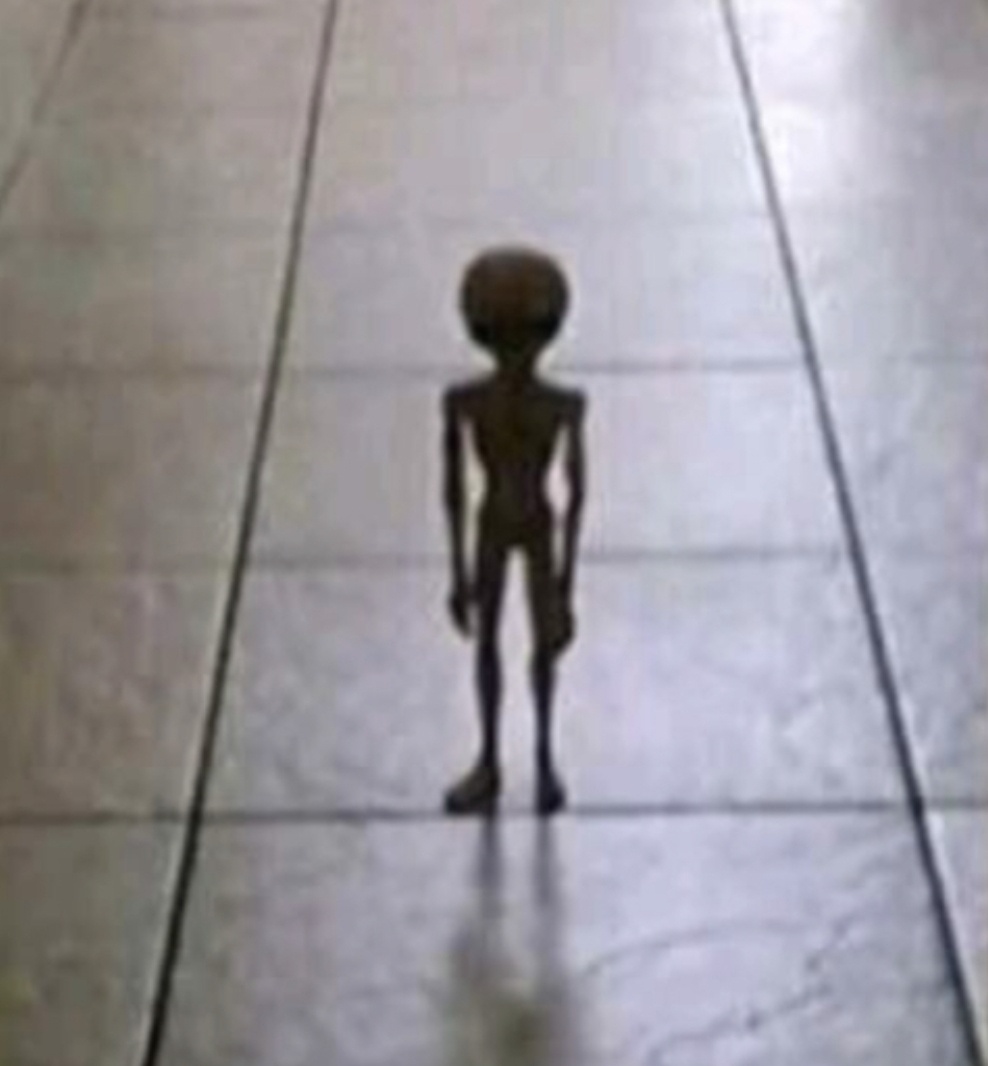 50e74803-f985-4019-bd02-f657e8af735d