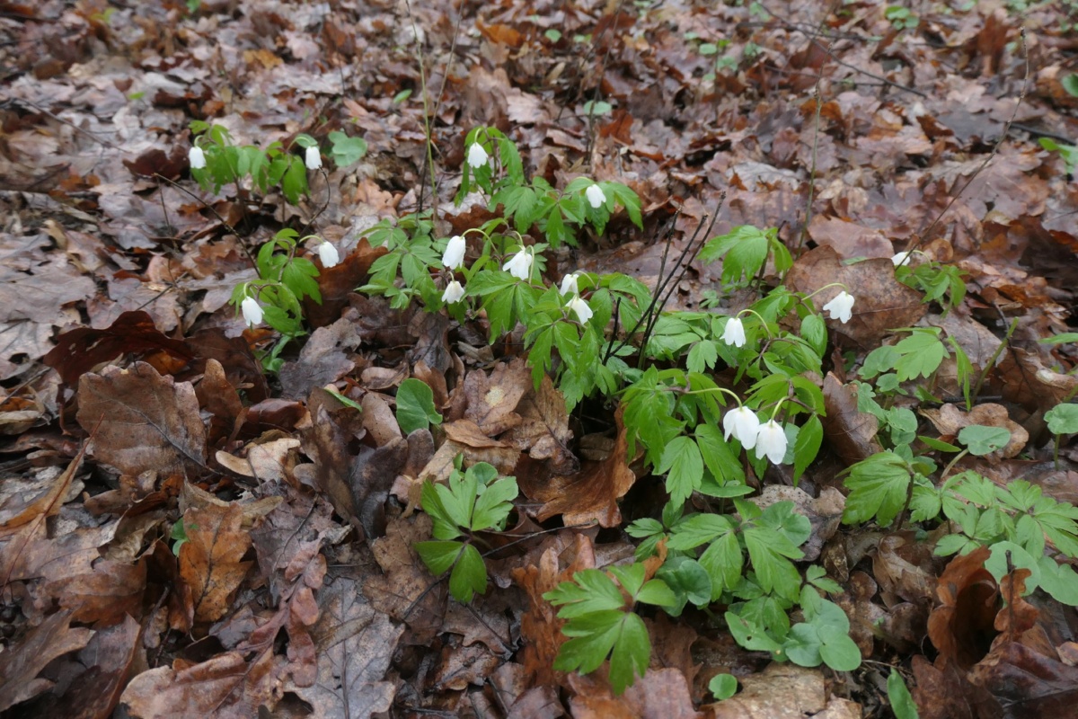 ab182338-589b-4840-8219-9fee701cb569