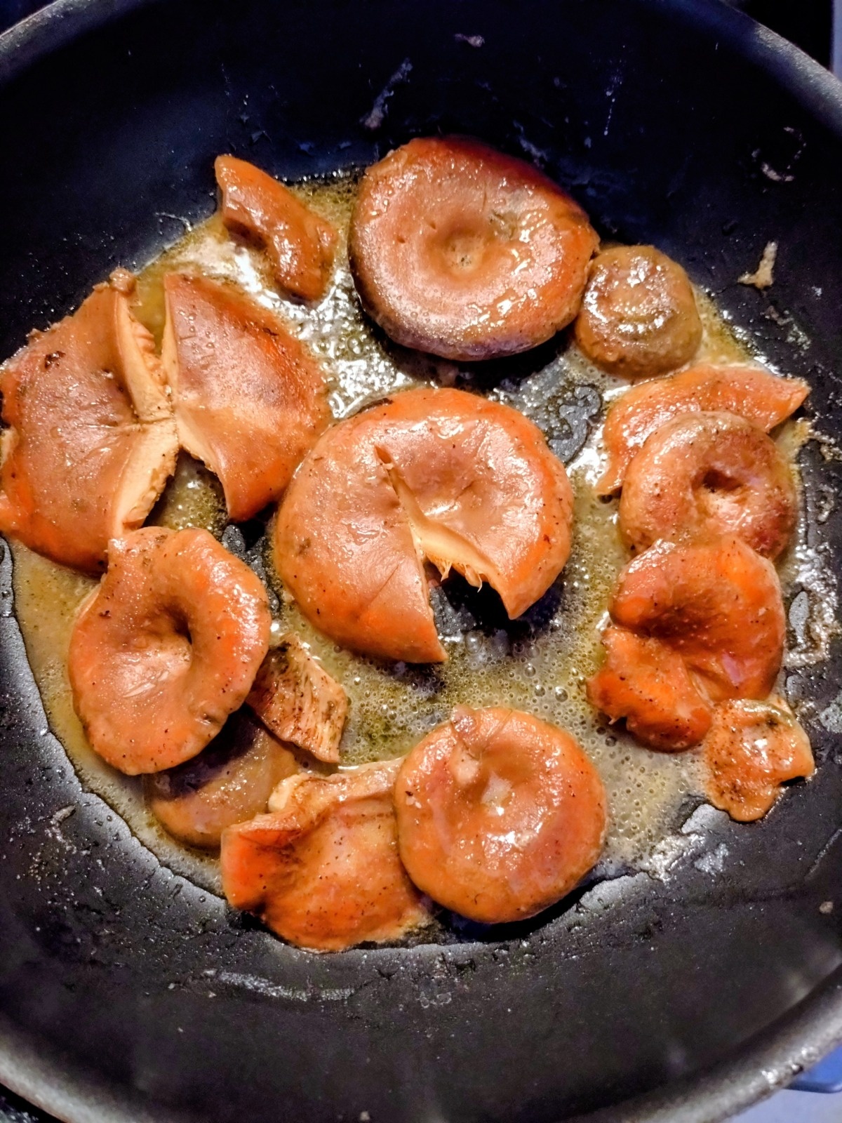 94a5d76e-5248-4419-9d7b-2ebcfc6c42e8