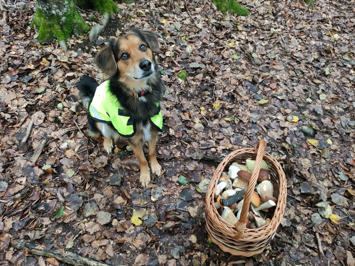 5736c634-f129-48a0-9516-105bc38b360a