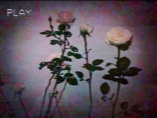 0f112e0e-2130-42da-93f7-a3ca780c767f