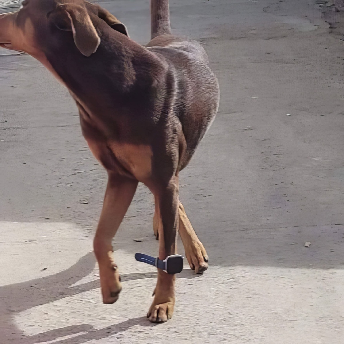 25ff39d3-36e7-48bf-bf3f-e44aed1c902f