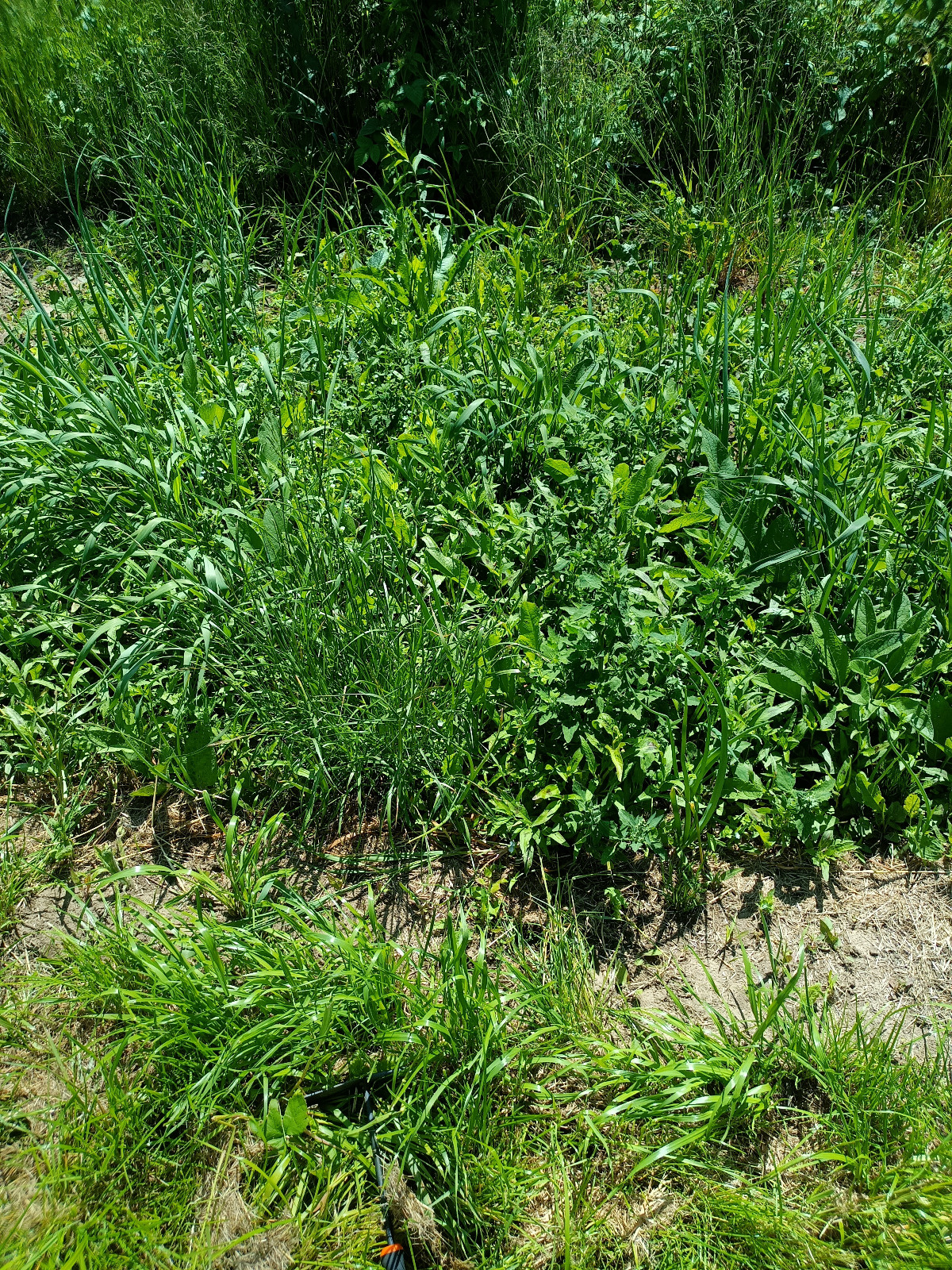 a87c71e2-99ea-4e66-a14c-b9d85628ddf6