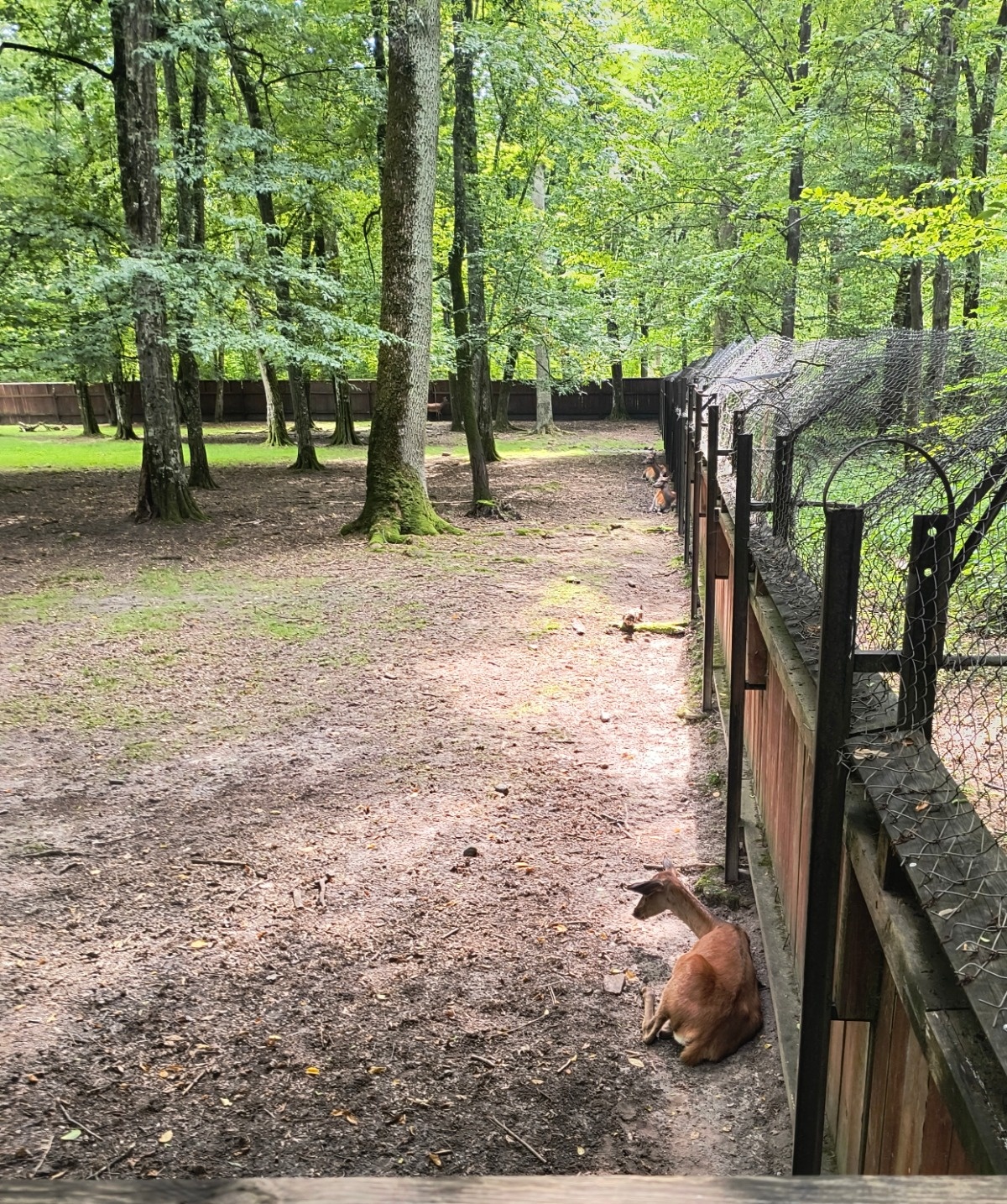 439020a5-ab91-451f-8b7e-2544bdd0cc1b