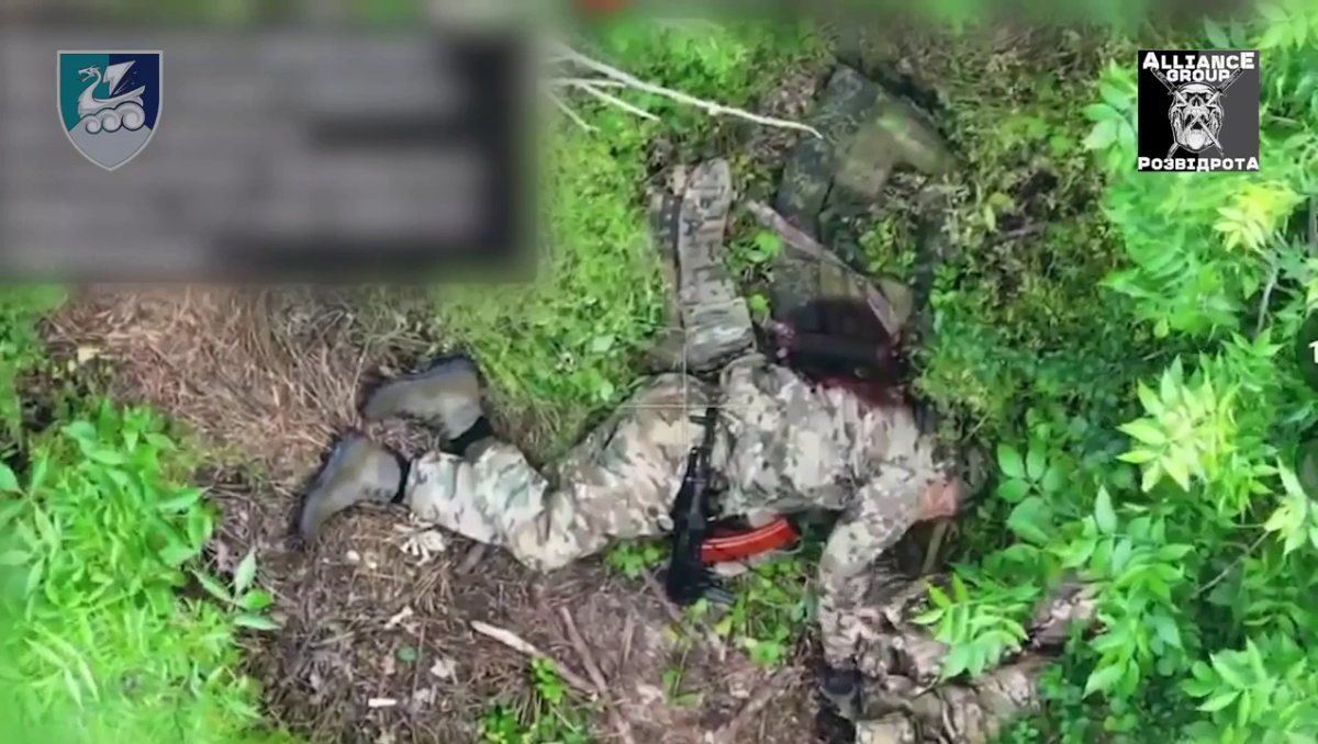 50119306-2e52-4d8f-afcf-38e2a14fec54