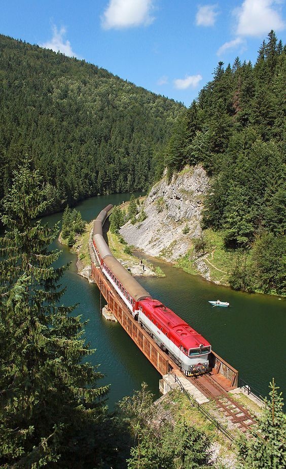 ca00fd5d-7741-47d3-abcd-053414aa663d