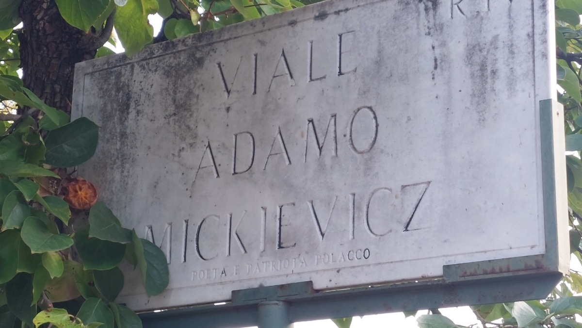 e18a2c19-6faa-42a2-8d31-b9c82dade8f6