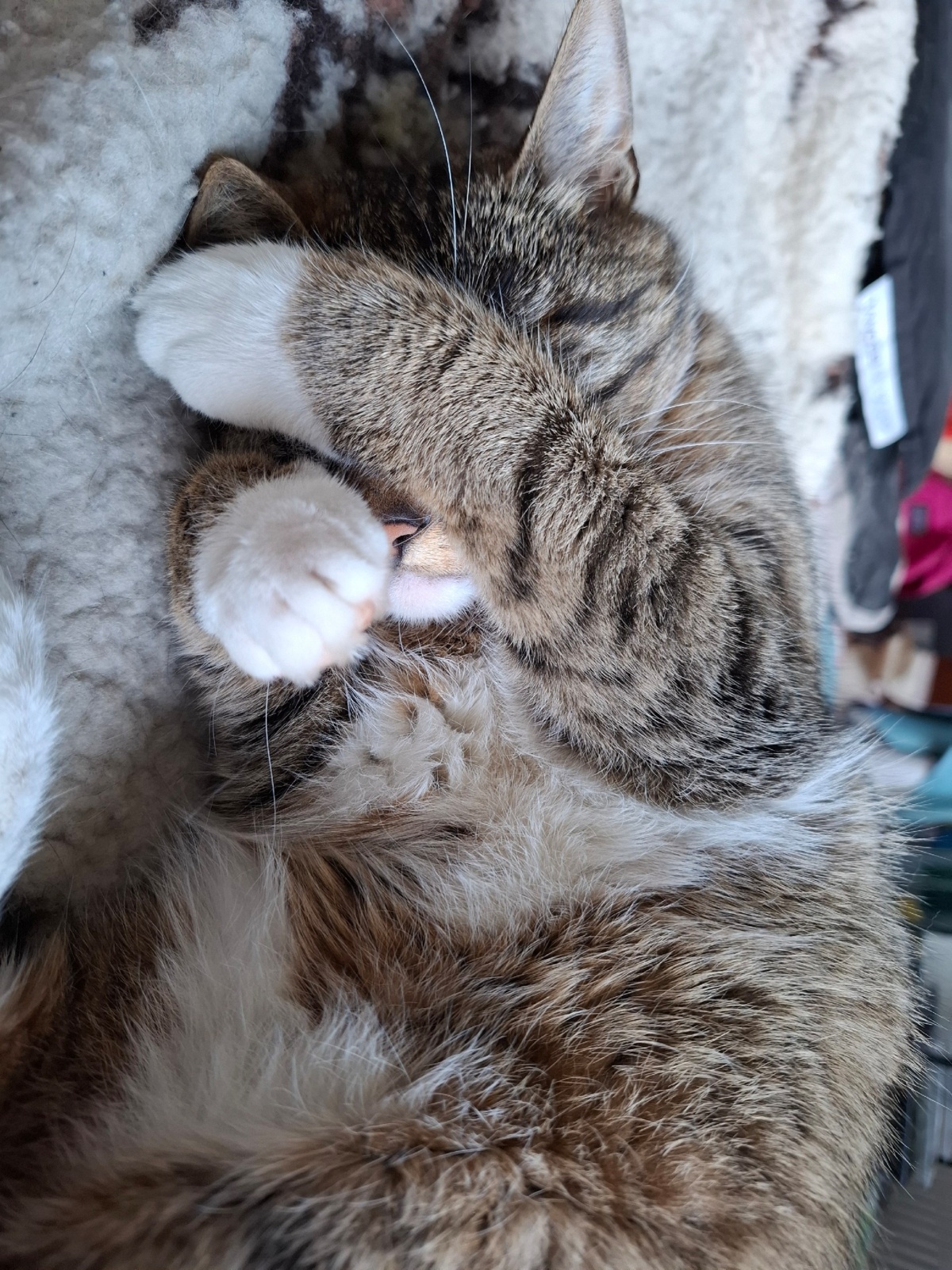 953605fb-c708-4bf5-a5f8-7fae76bdb74e