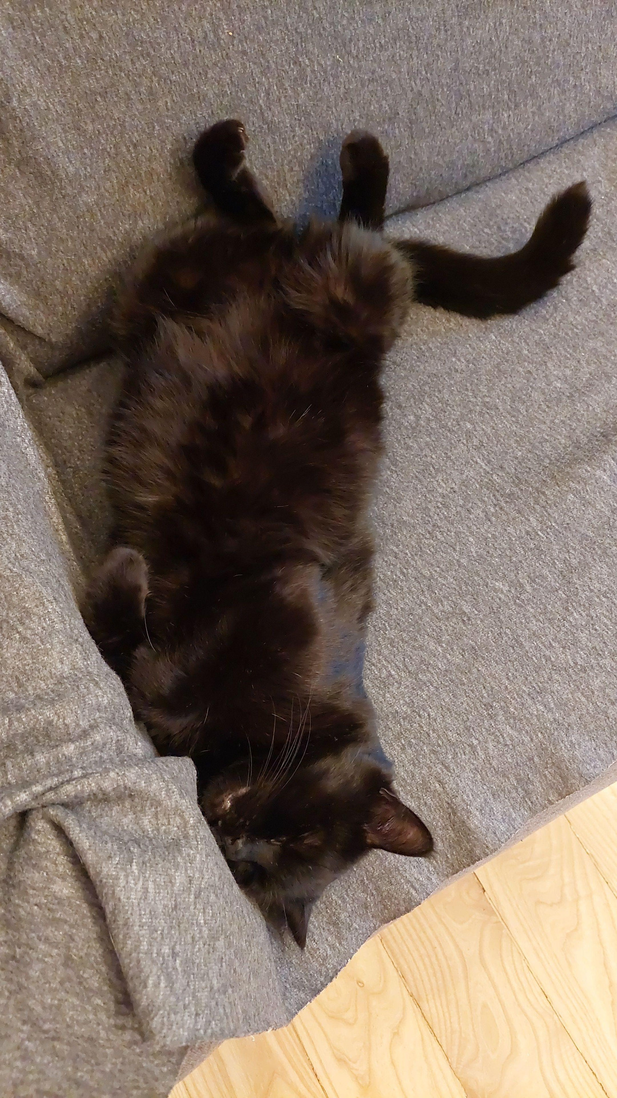 d8cf6181-4463-4614-bdb5-9df60eaea146