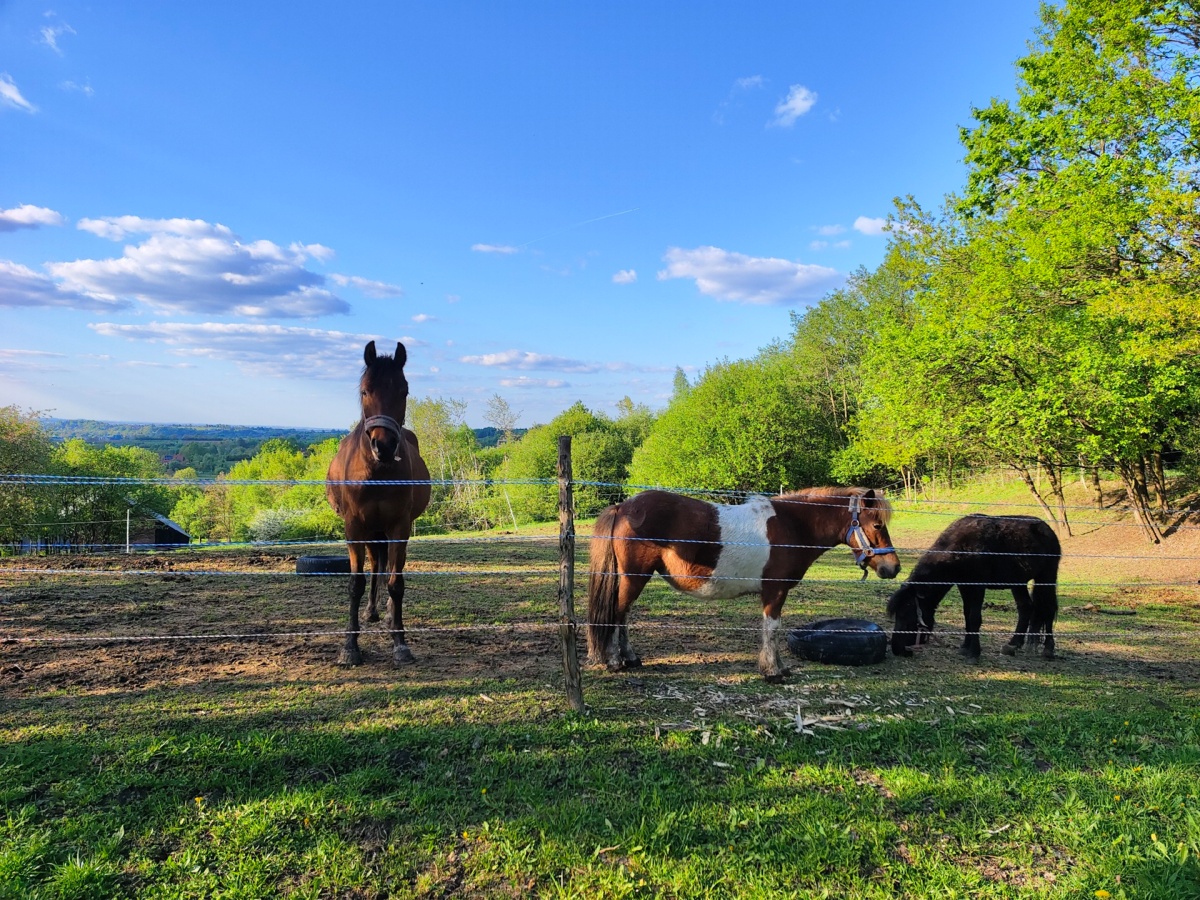 4bf1731d-f556-4e52-93f9-b879514e9acf