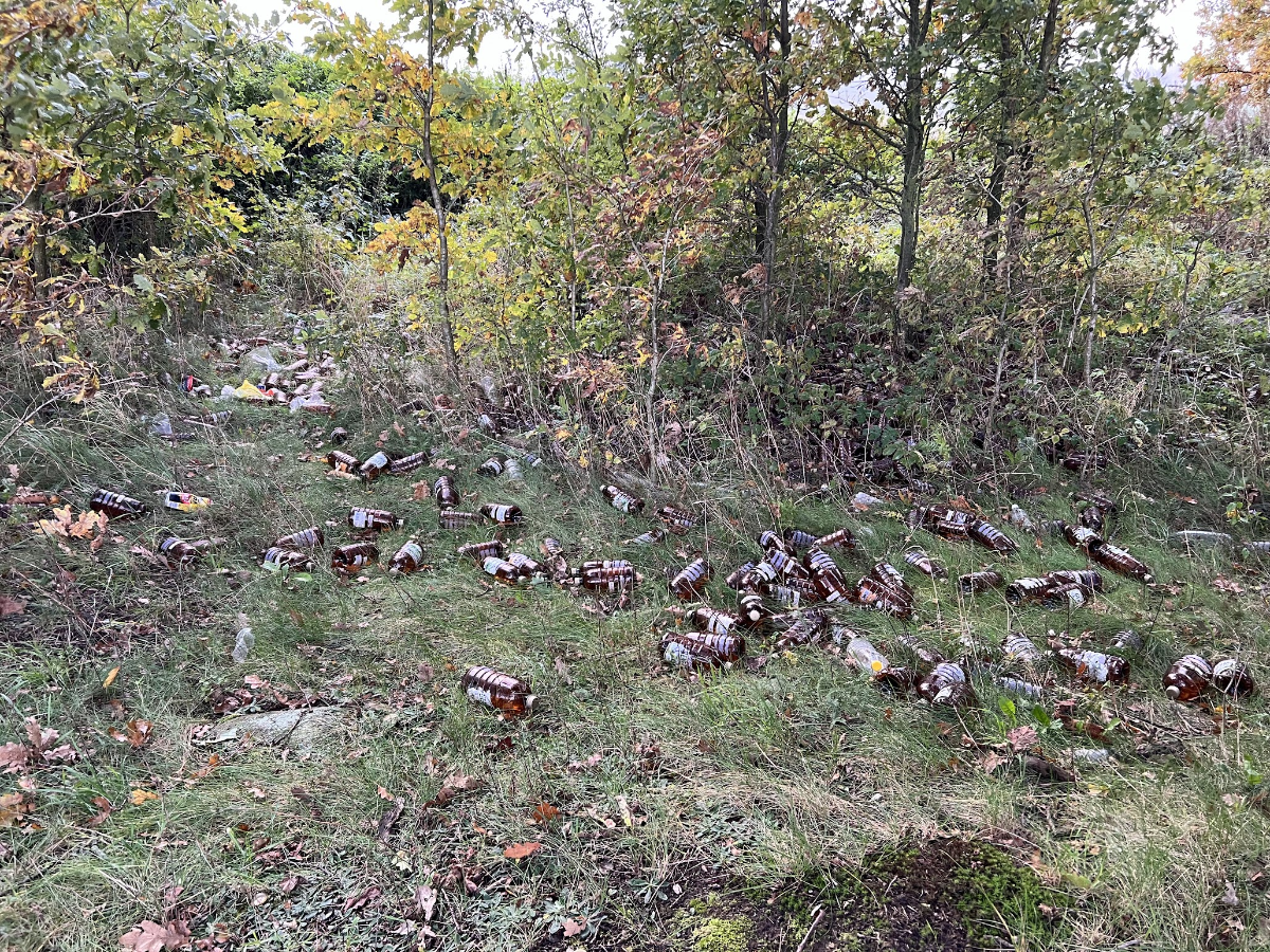 adfaa6e7-95e9-41ef-8c90-839941e76dac