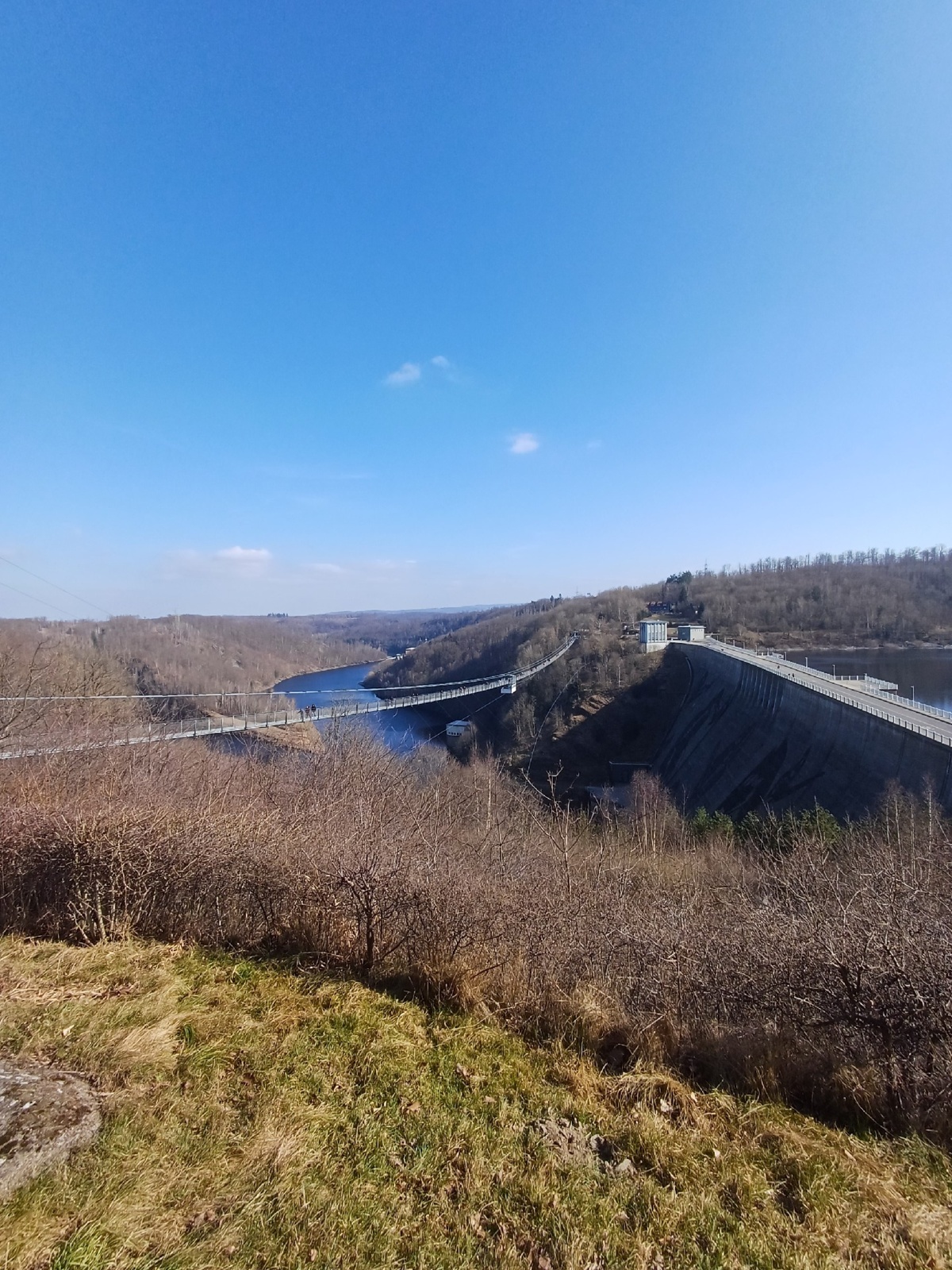 c7cb5ff3-d5e2-4953-8ccd-5a27bc41c5fa