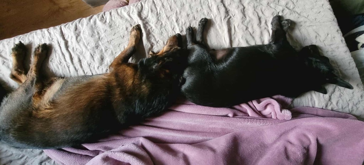 5695d752-1bce-49c5-bc7c-92624c014195