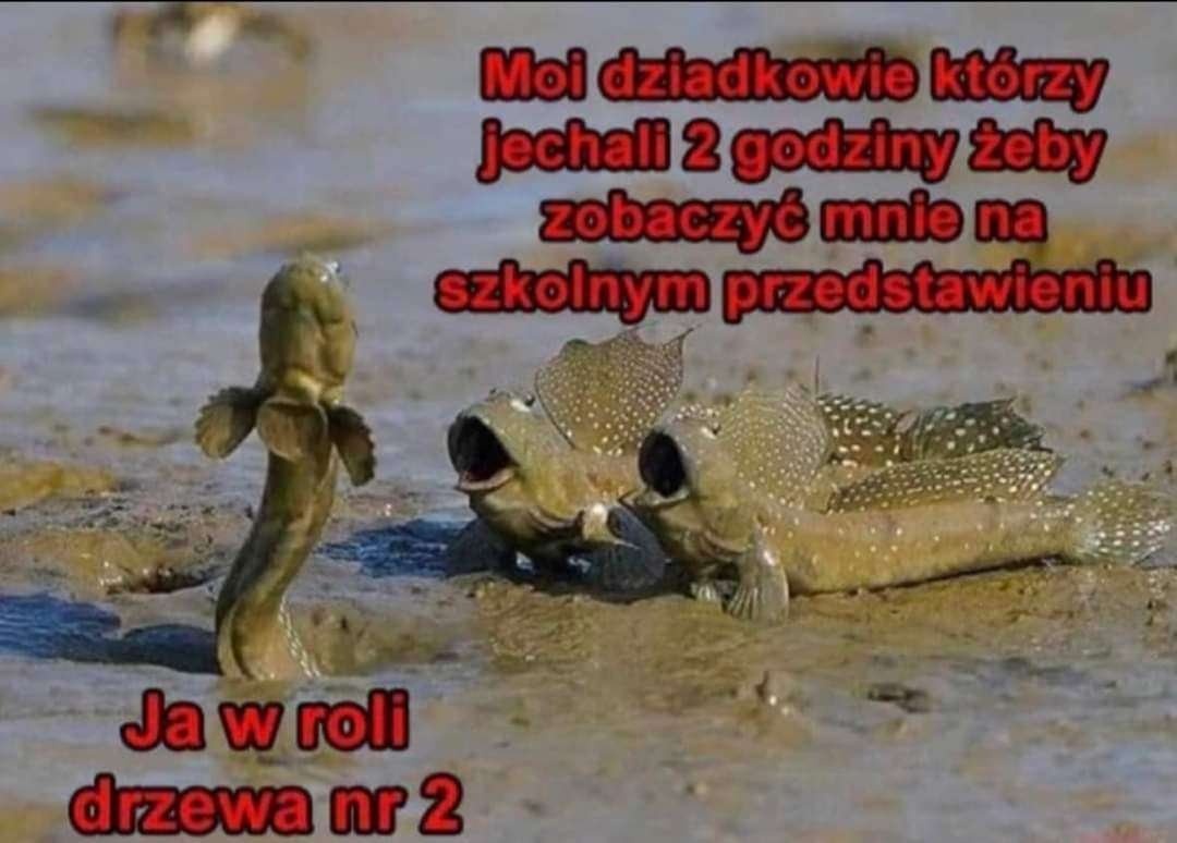 88f5df57-742b-413f-911c-a7c7f10ad98c