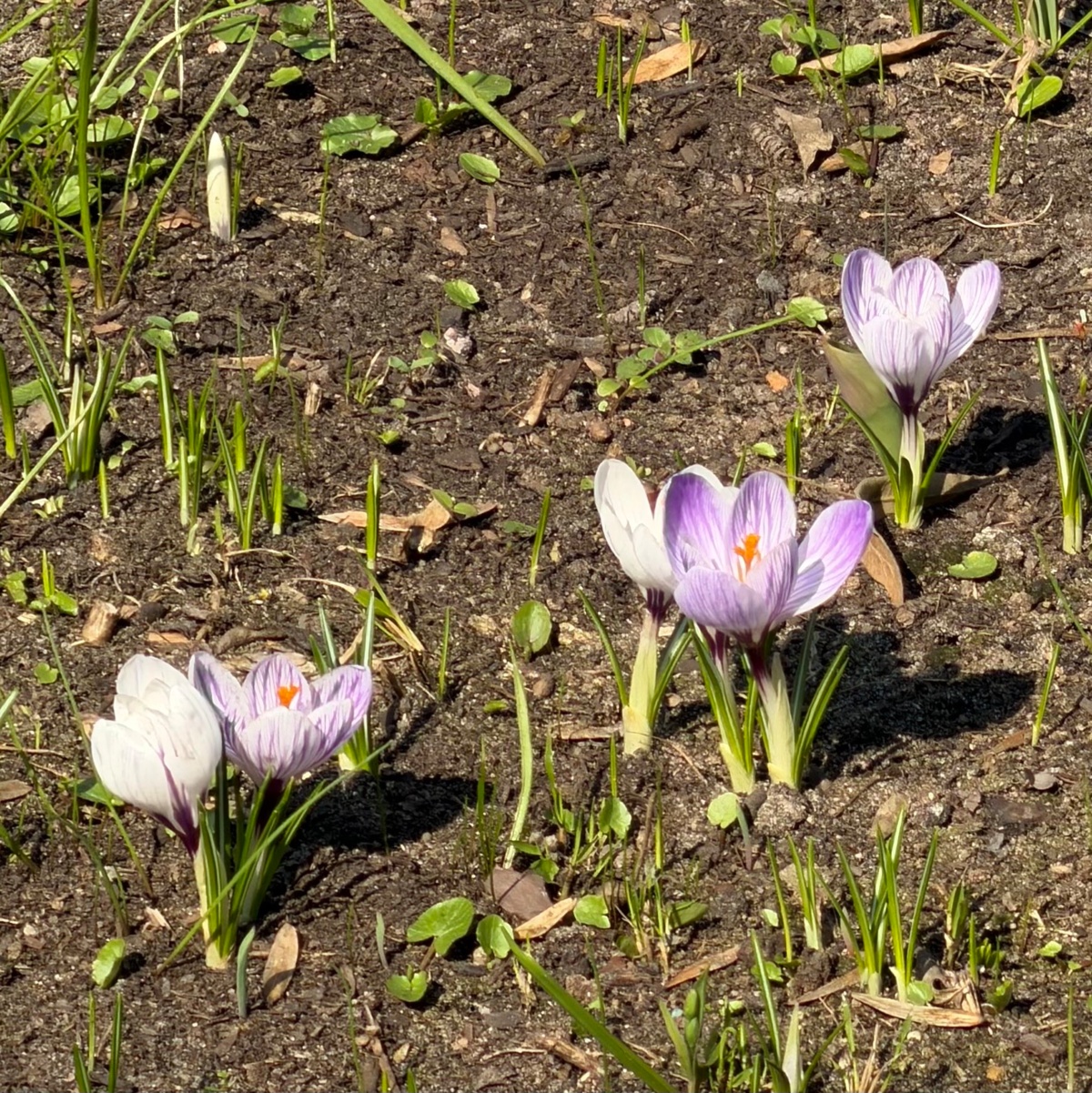 ec4809ed-23a6-4eda-8055-7b8bb0f32eb8