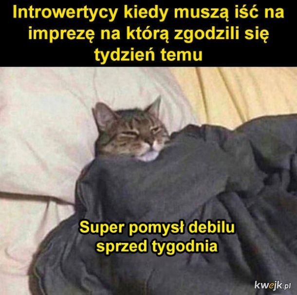 f4926f88-885e-41c7-a934-556ade5b9c7c