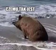 27fb76a2-3a0f-4642-a7aa-e68d053c00b5