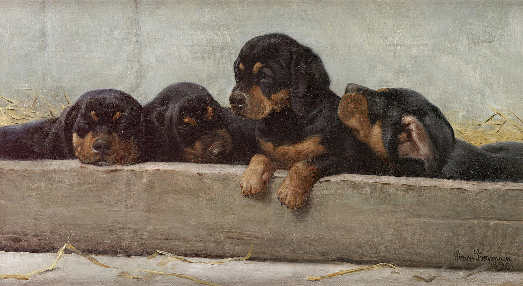 04aa7846-07fd-42fc-896b-74515617f6b7