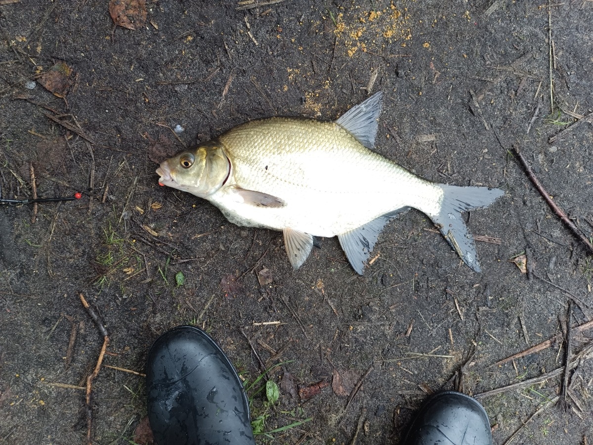 9fbaa894-9c4a-424f-8e24-03e103d79e55