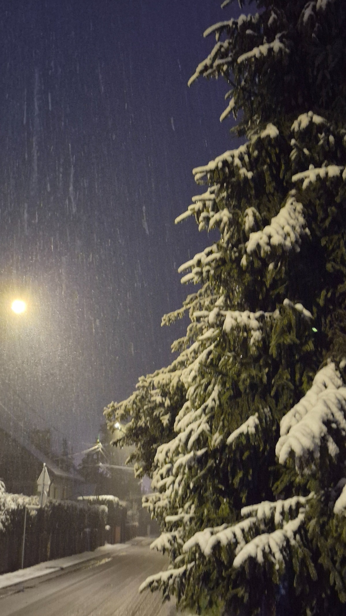 f625c505-f513-4817-ae62-1a4afb425dba