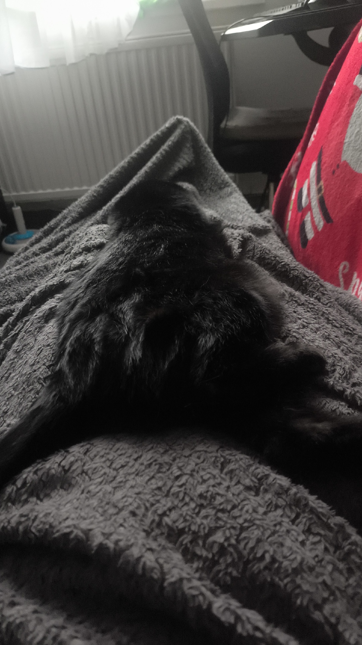 2dc9e944-5b99-4641-a94b-dc685e8432c2