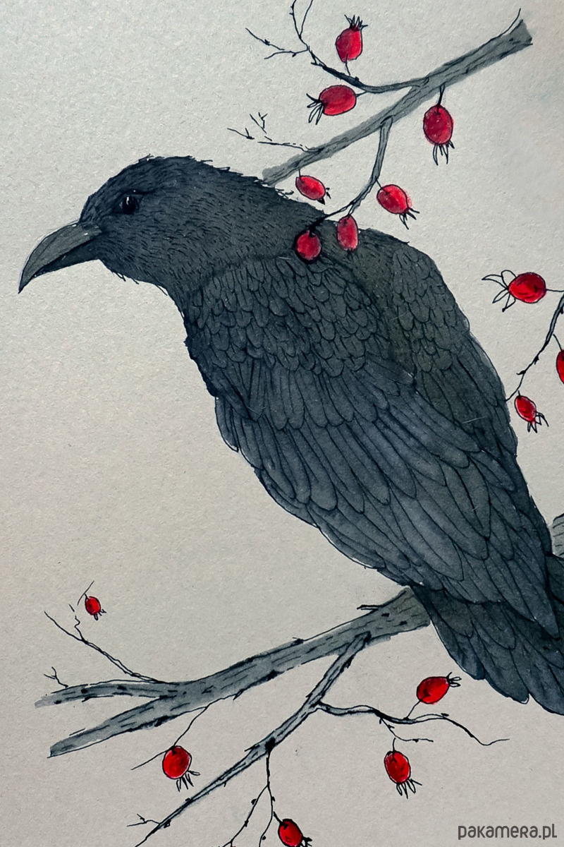 ef005f53-107d-43e7-8700-92dbbab11980