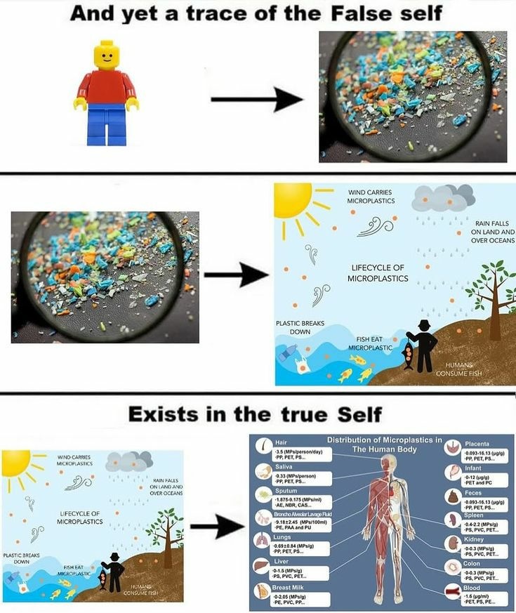 78134fb2-f2cb-48aa-990c-d6d5b5a6a9a4