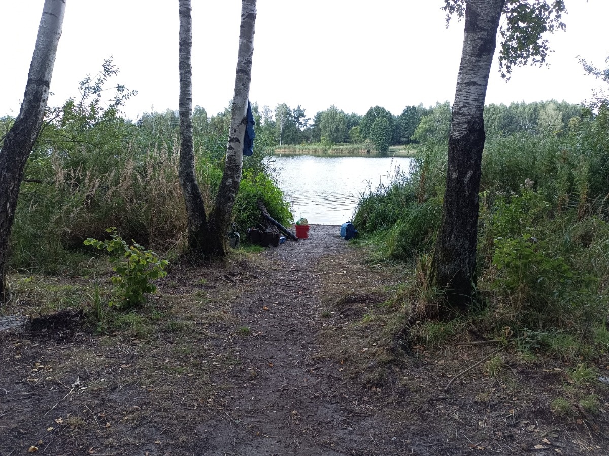 6911a55d-a5ae-448f-afe3-6528a1ea542d