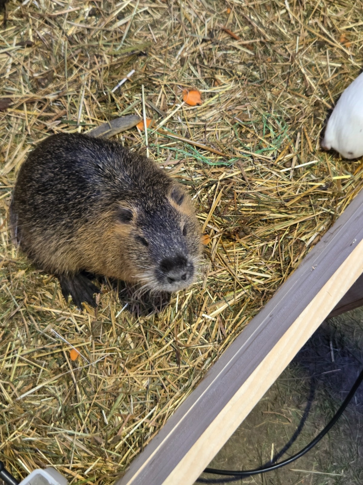 e73555de-999a-4ef9-810b-1a9ba139b6d7